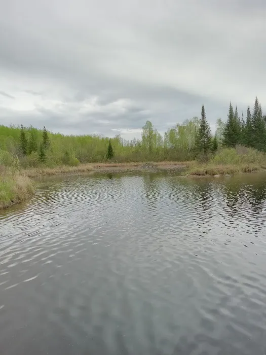 Group Camp Picture 6