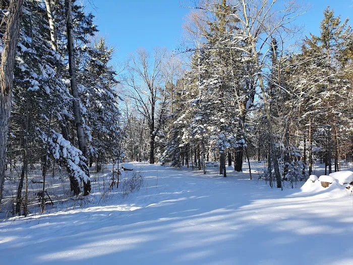 Chase Point Campground Picture 8