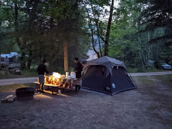 Chase Point Campground Picture 4