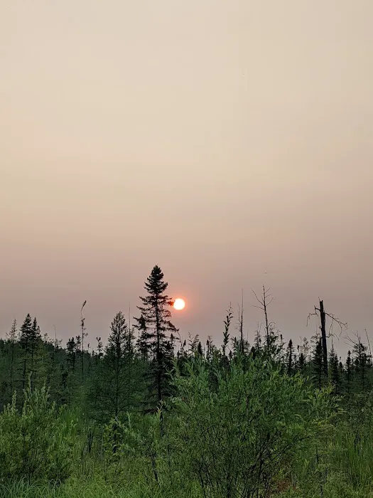 Chase Point Campground Picture 3