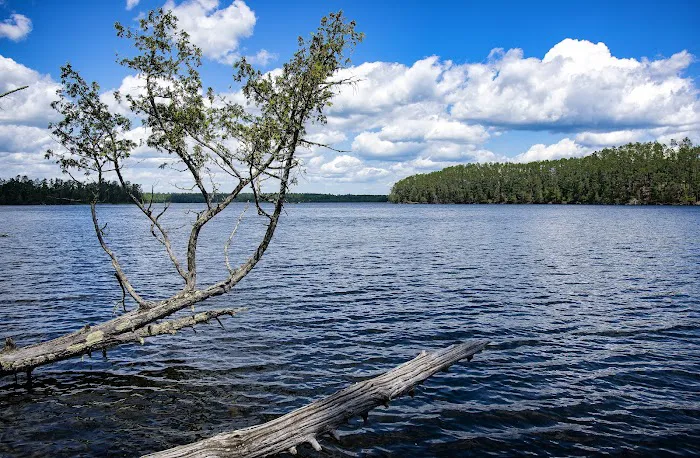 Chase Point Campground Picture 1