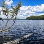 Chase Point Campground