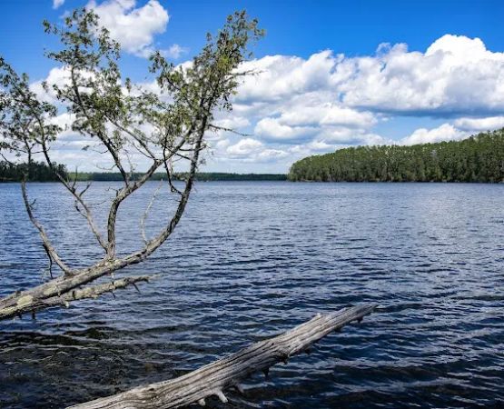 Chase Point Campground