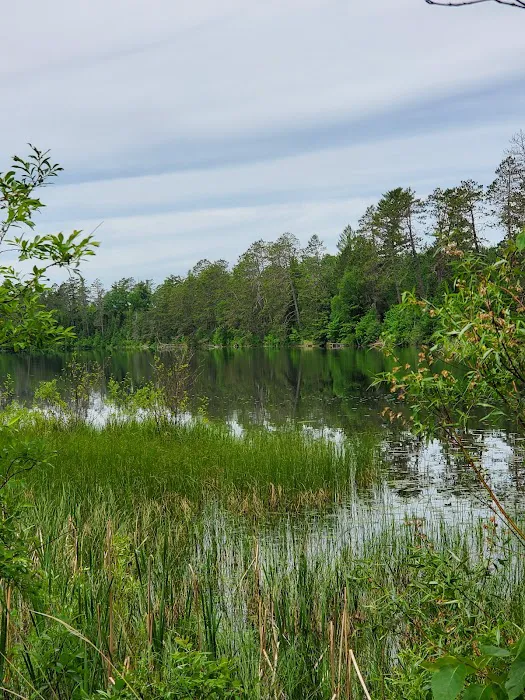 Bass Lake Campground Picture 3
