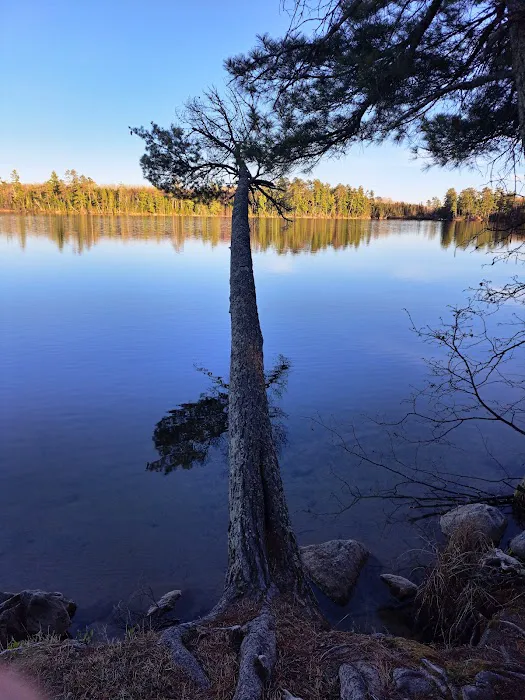 Bass Lake Campground Picture 2