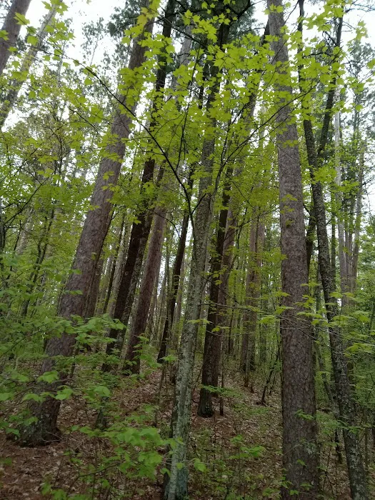 Side Lake Campground Picture 9