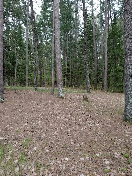 Group Camp Picture 2