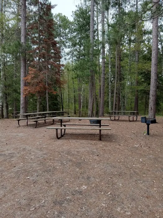 Group Camp Picture 1