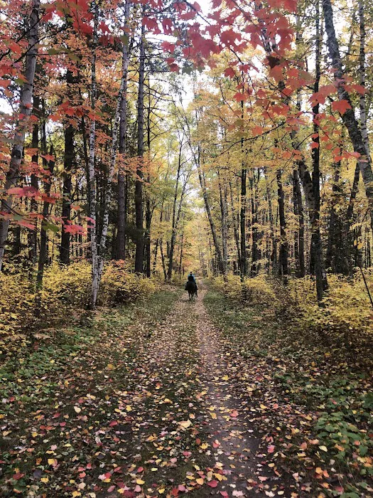 Stony Brook Horse Campground Picture 6