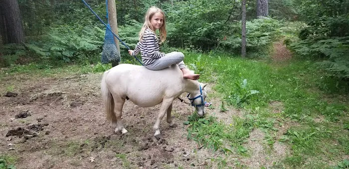 Stony Brook Horse Campground Picture 1