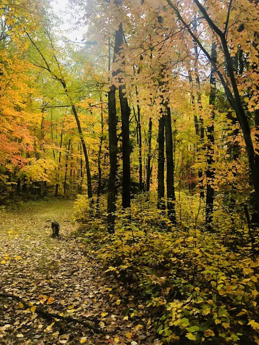 Stony Brook Horse Campground Picture 7