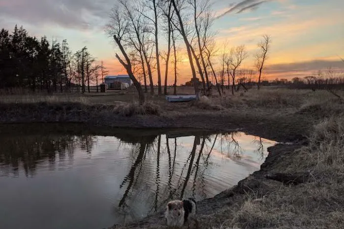 Uncle B's Farm & Hip Camp Picture 5