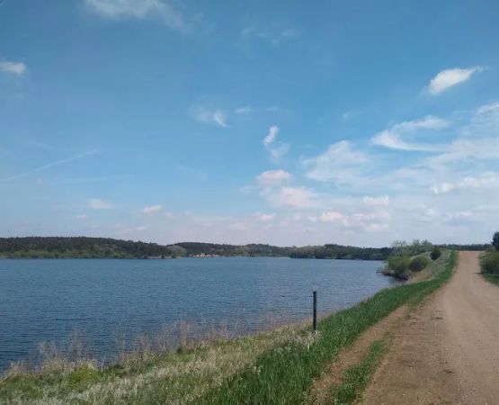 Broom Tree Youth & Family Camp