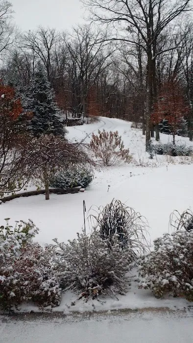 Lake Sallie Campground Picture 5