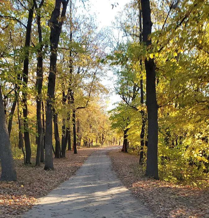 Long Lake Campsite & RV Picture 10