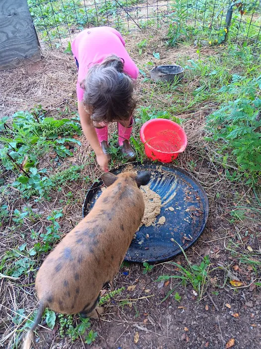 Trails End Hobby Farm and Handy Man Service Picture 7