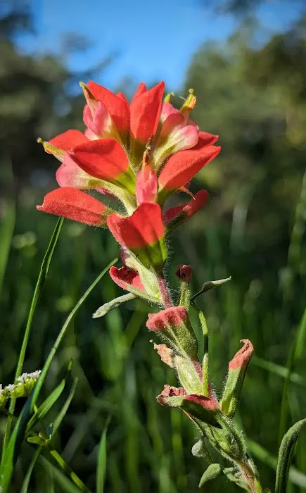 Trails End Hobby Farm and Handy Man Service Picture 6