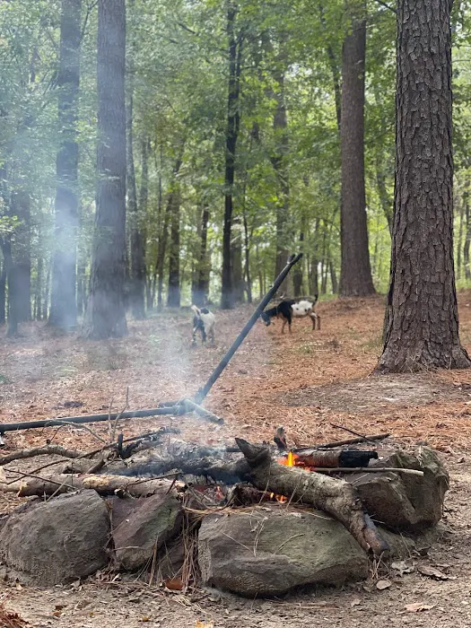 Barefoot Gee's Texas campsite Picture 6