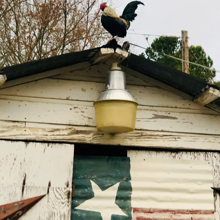 Barefoot Gee's Texas campsite Picture 2