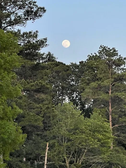 Barefoot Gee's Texas campsite Picture 4