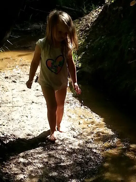 Barefoot Gee's Texas campsite Picture 1