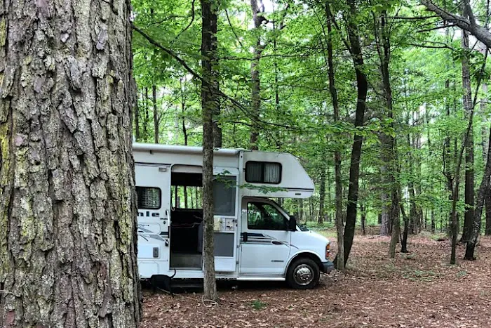 Barefoot Gee's Texas campsite Picture 10