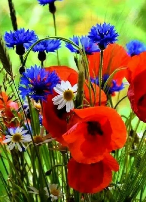 Kason Kamp RV Park Picture 1