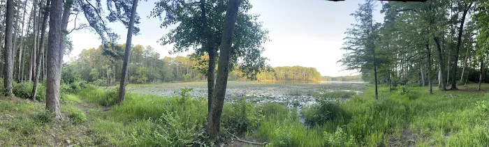 Dogwood Camping Area Picture 1