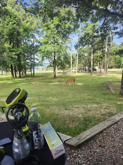 Johnson Creek Campground - GROUP camp area Picture 7