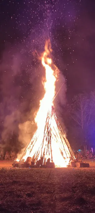 Armadillo Acres Picture 5