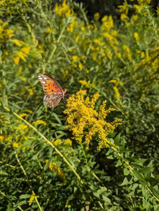 Armadillo Acres Picture 1