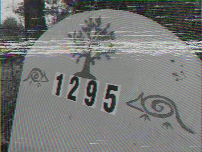 Armadillo Acres Picture 3