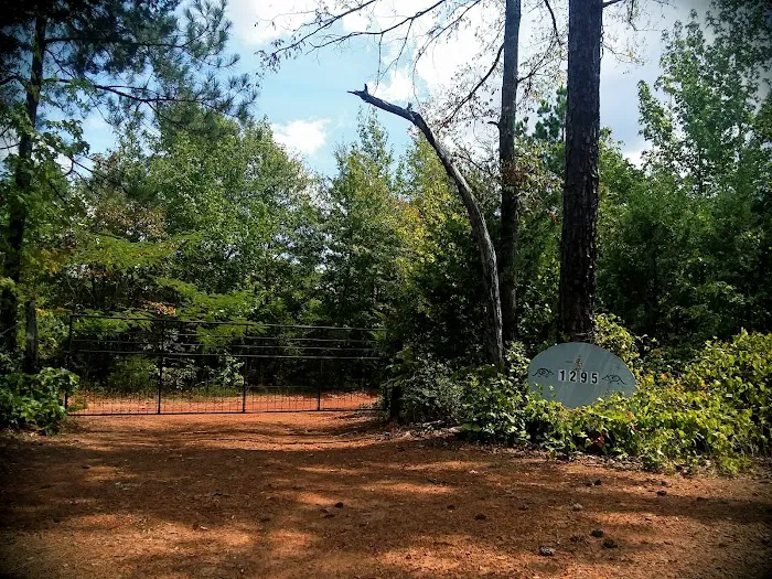 Armadillo Acres Picture 2