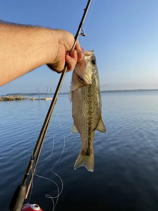 Brushy Creek Campground Picture 7