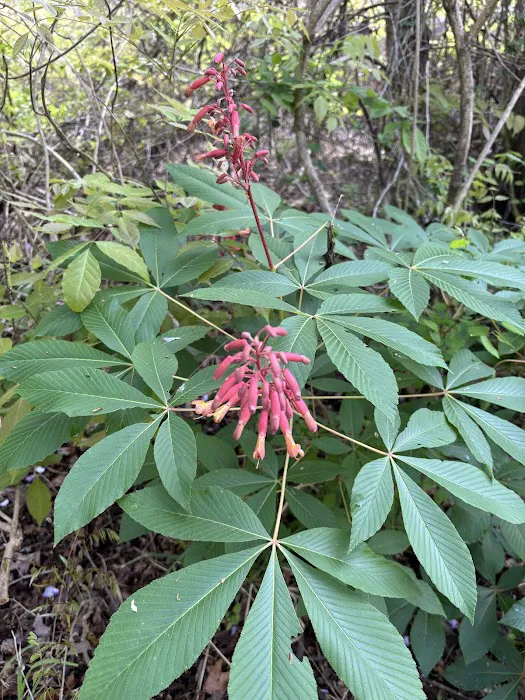 Fort Sherman Camping Area, Water and Electric Sites Picture 1