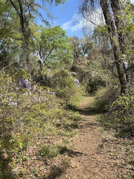 Fort Sherman Camping Area, Water and Electric Sites Picture 7