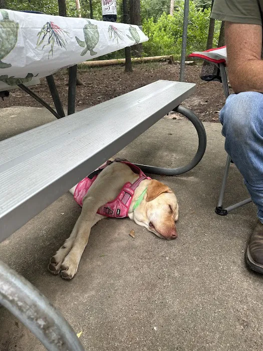 Fort Sherman Camping Area, Water and Electric Sites Picture 8