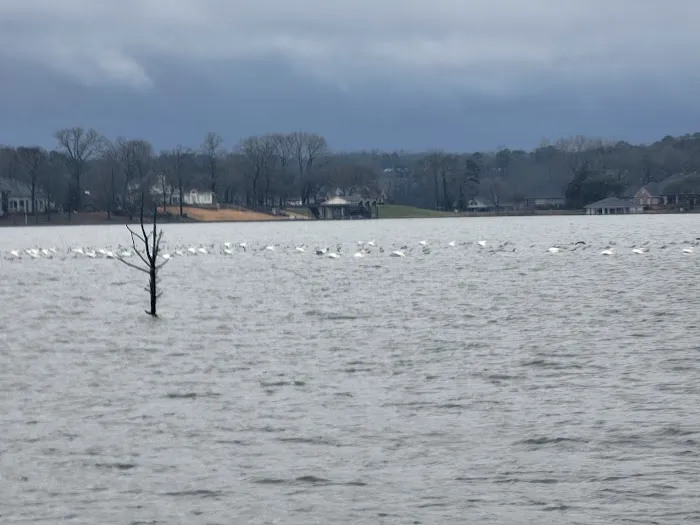 Cherokee Trace Camping Area, Water and Electric Sites Picture 1
