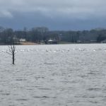 Cherokee Trace Camping Area, Water and Electric Sites