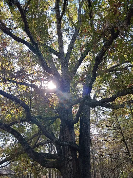 Moccasin Track Camping Area, Water & Electric Sites, plus Cottages Picture 2