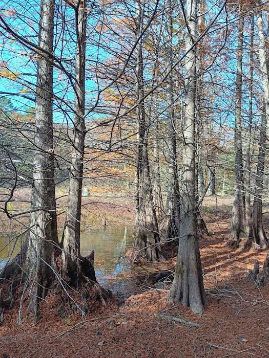 Moccasin Track Camping Area, Water & Electric Sites, plus Cottages Picture 3