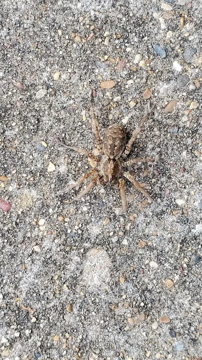 U.S. Army Corps of Engineers Picture 5