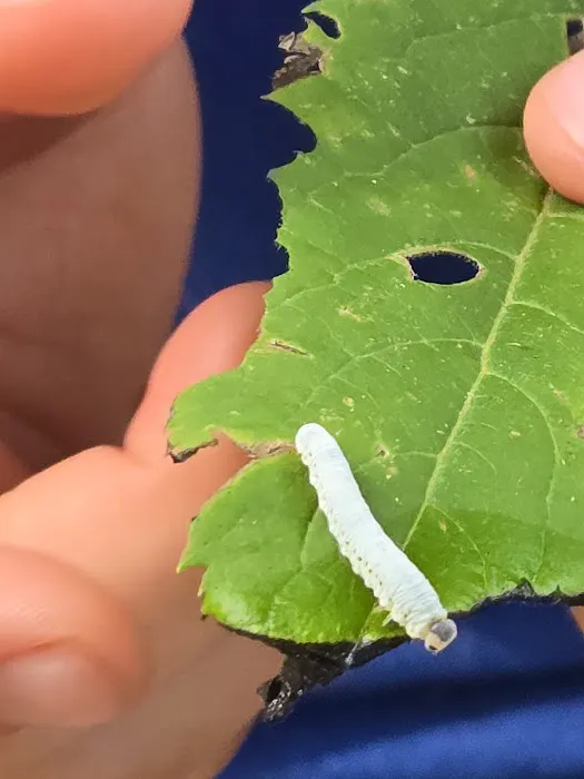 Elk Lake Group Camp Picture 2