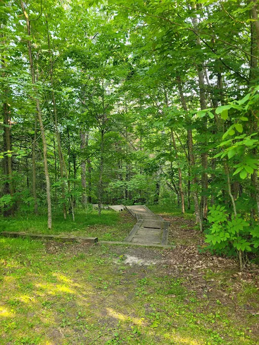 Elk Lake Group Camp Picture 4