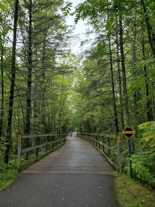 Bear Paw Campground Picture 2