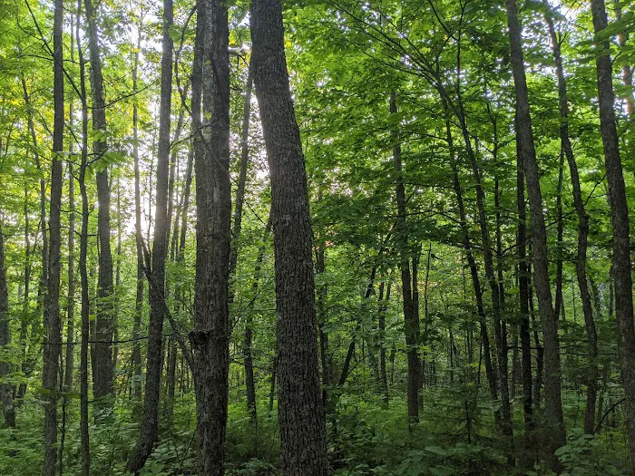 Bear Paw Campground Picture 5