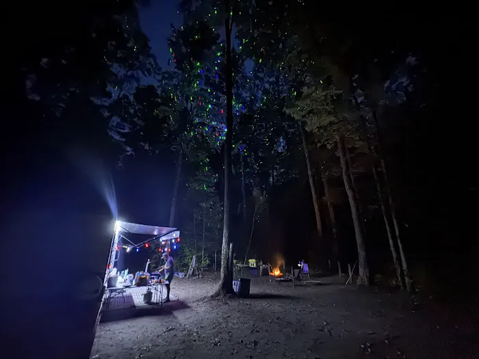 Sawmill Campsite 47D Picture 2