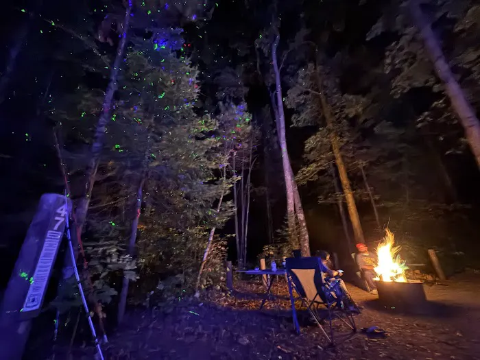 Sawmill Campsite 47D Picture 1