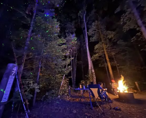 Sawmill Campsite 47D