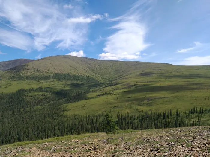 Mt.Prindle Campgrounds/Dept. of Inter. Picture 7